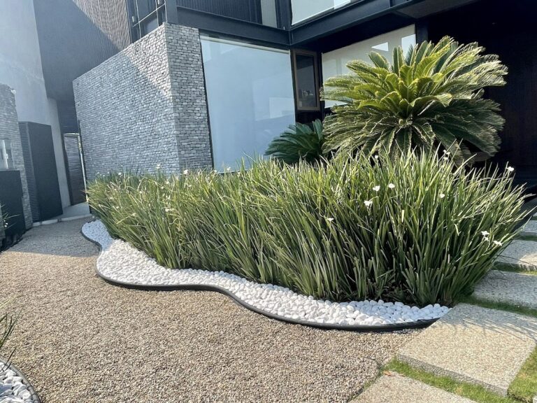 50762 evergreen jardineria 768x576