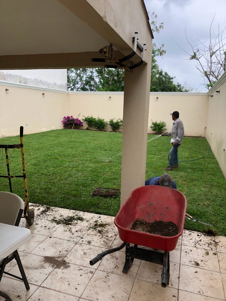 50772 vivero vista verde periferico buena vista 768x1024