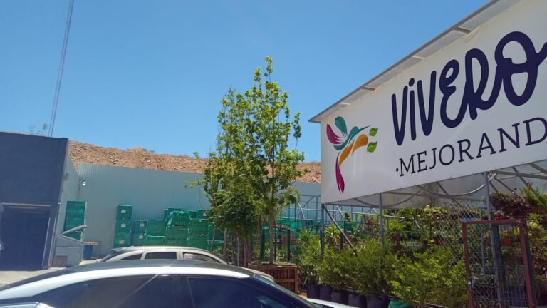 50784 vivero colibri 768x432