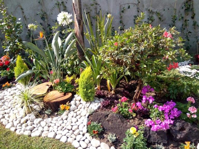 50791 8221 la nueva esperanza8221 768x576