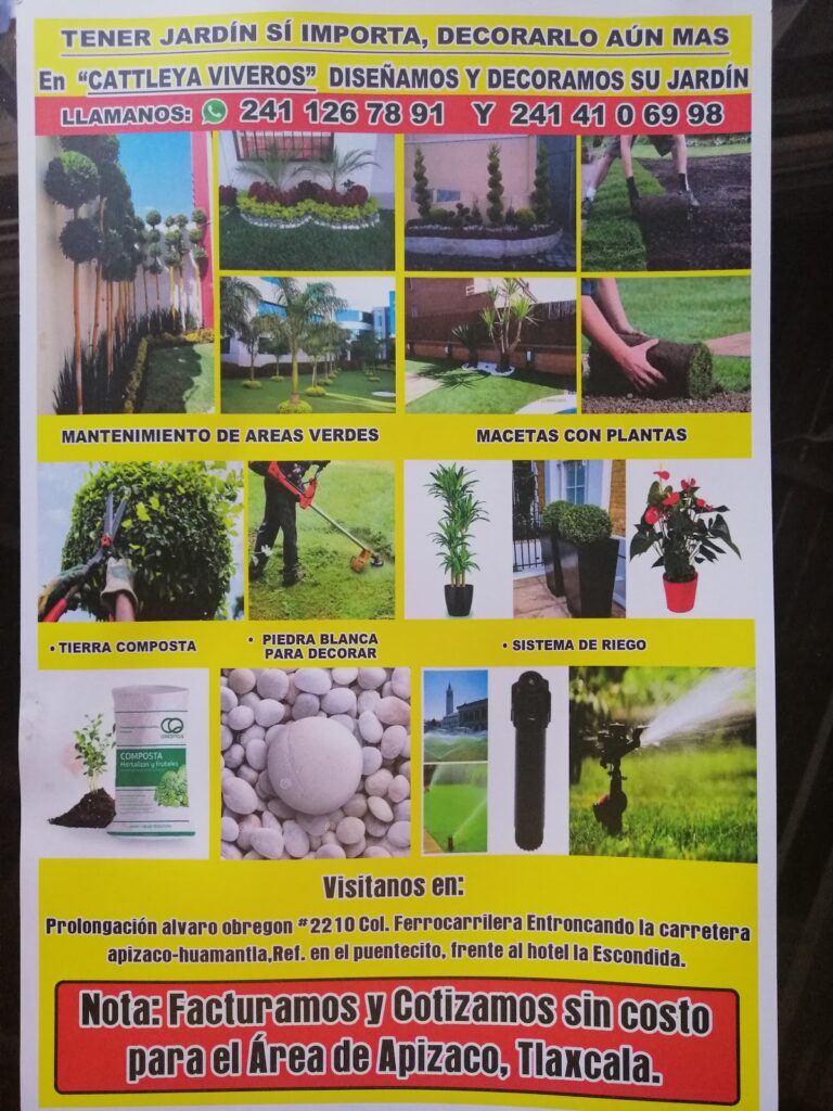 50800 jardineria vivero apizaco. diseno y decoracion 768x1024