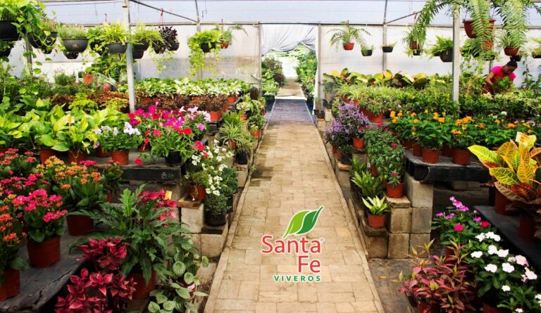 50804 santa fe viveros 768x445