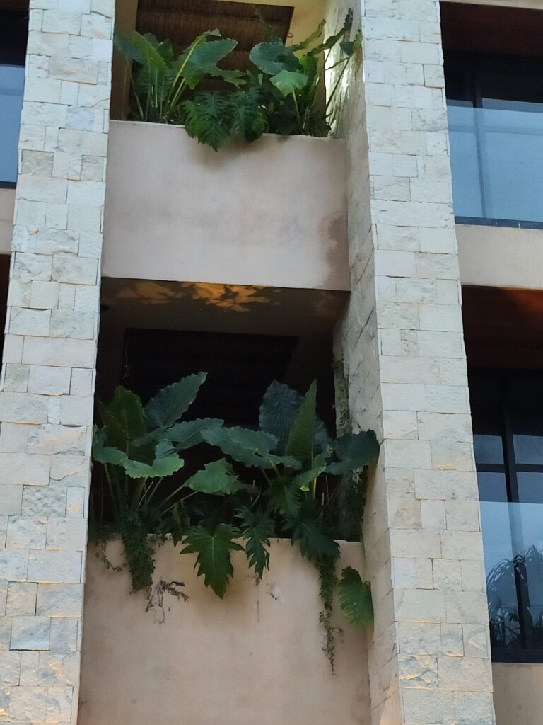 50809 vivero arki 768x1024