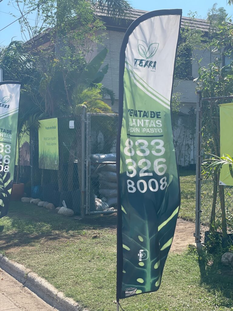 50815 viveros terra tampico 768x1024