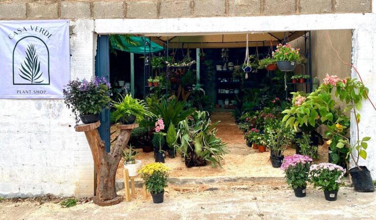 50846 casa verde coatza 768x449