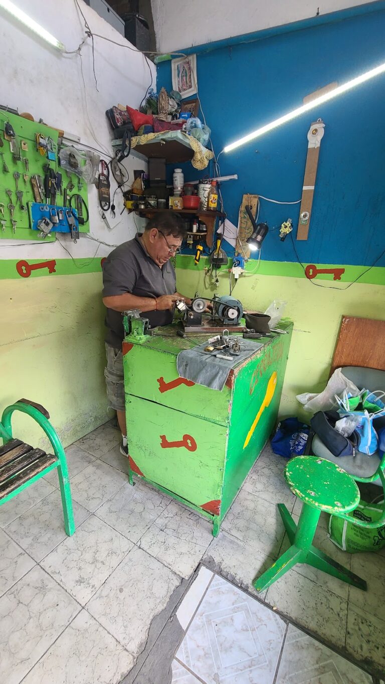 5099 cerrajeria san roque 768x1364