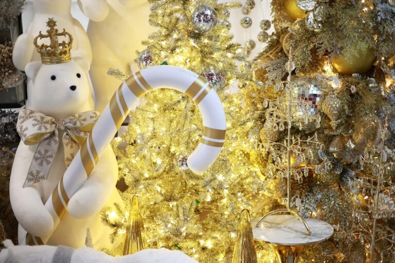 51078 ikaya design boutique 768x512