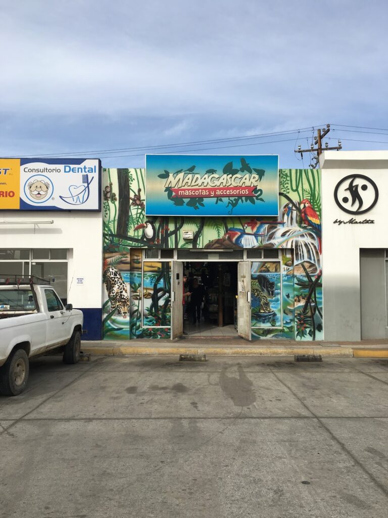 51321 madagascar 768x1024