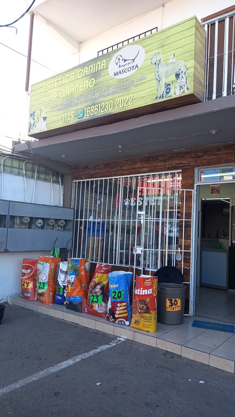 51323 angel de la mascota 768x1365