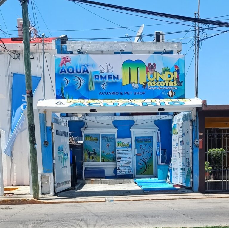 51344 mundimascotas carmen 768x765