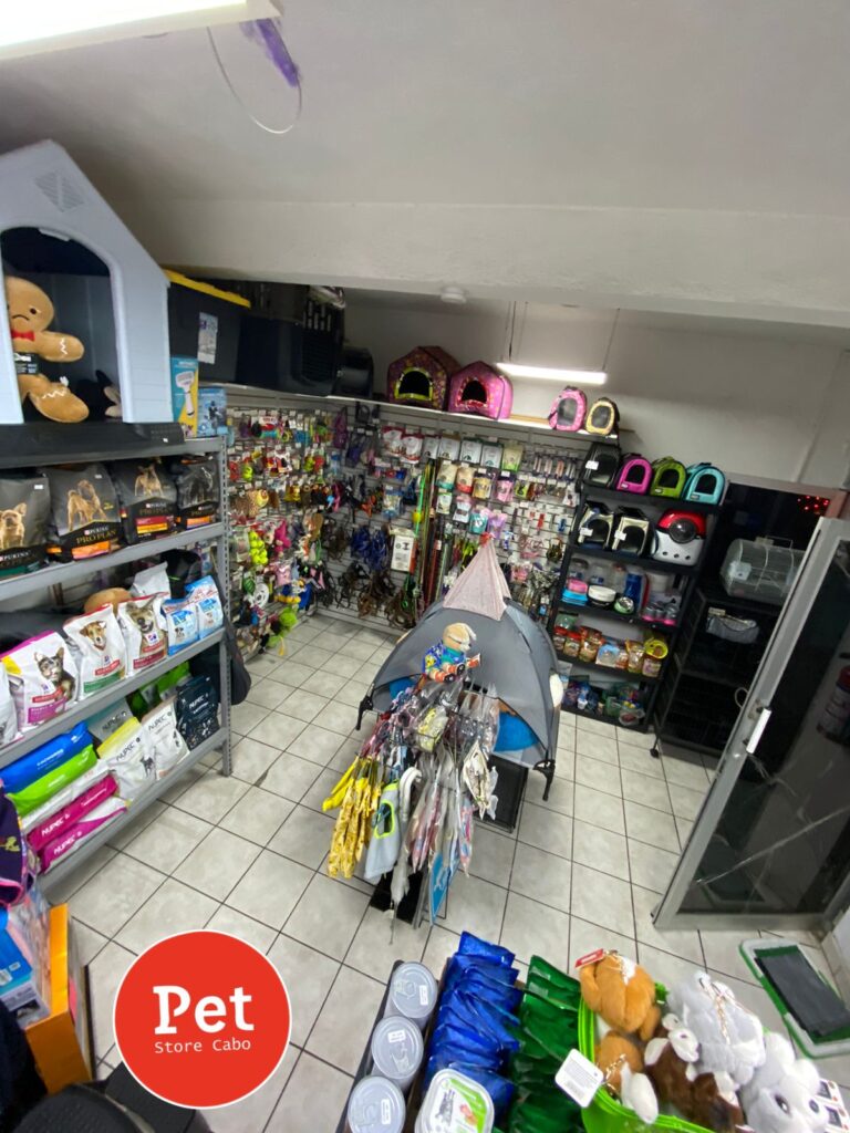 51352 pet store cabo 768x1024