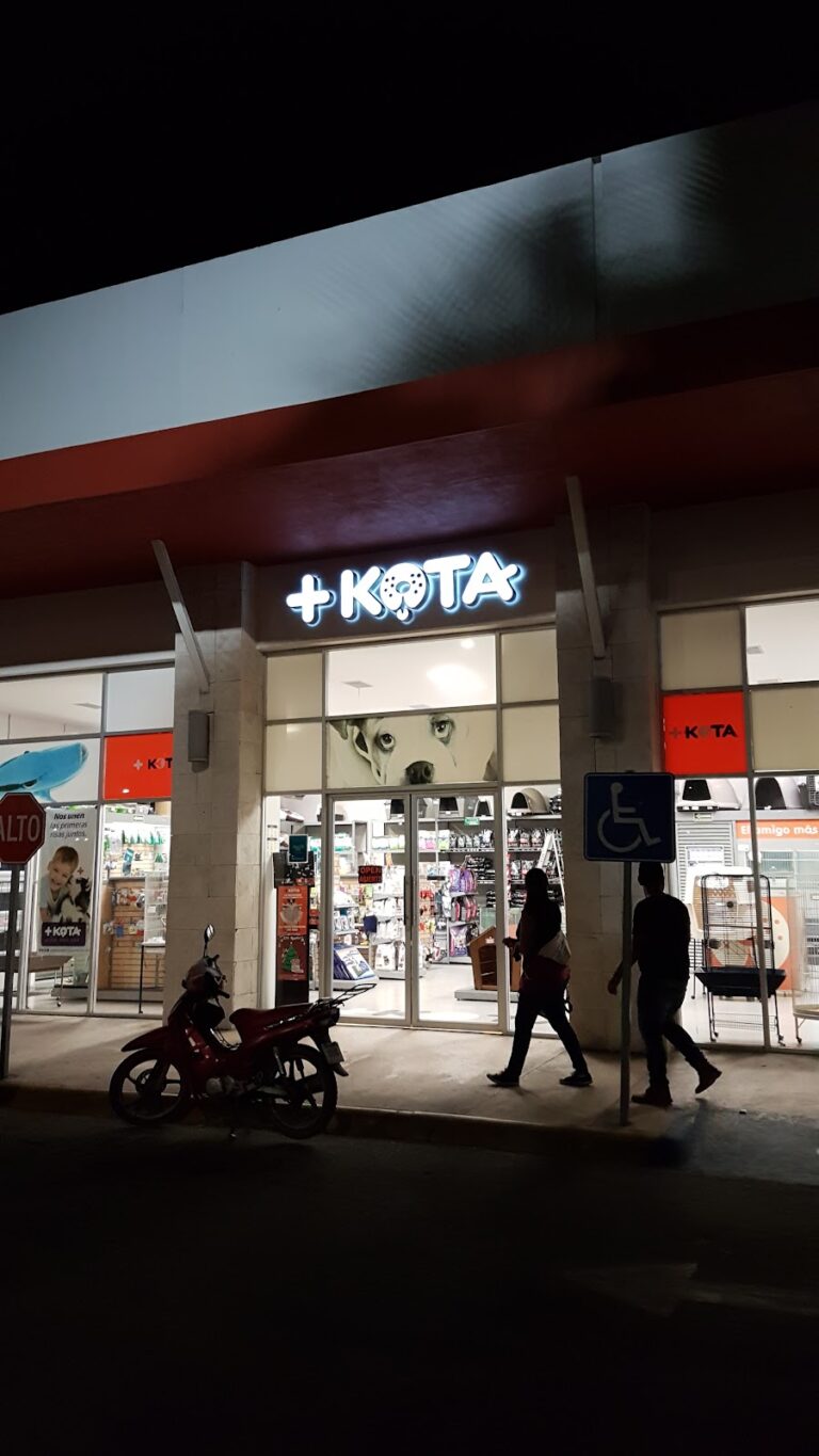 51358 kota palmira ciudad del carmen 768x1365