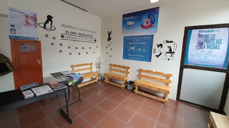 51366 veterinaria mascotas san cristobal 768x431
