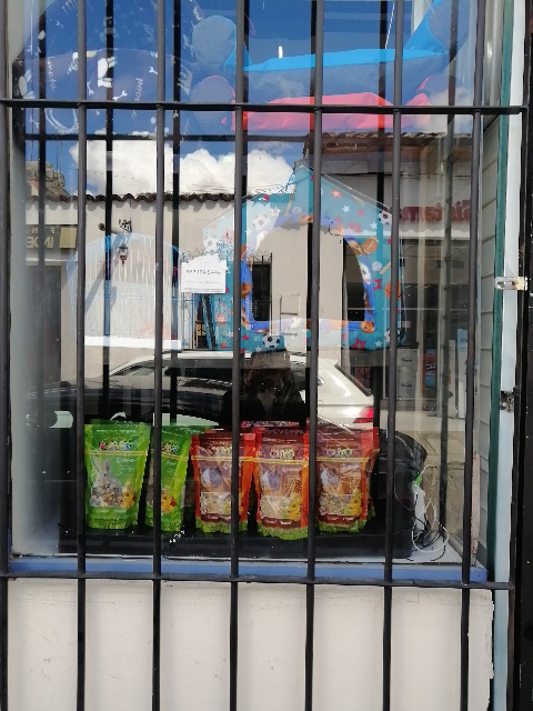 51370 tienda de mascotas