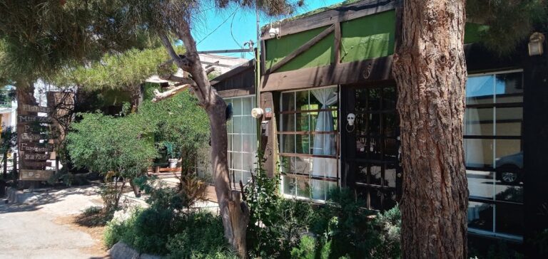 51377 criadero casa almanza 768x364