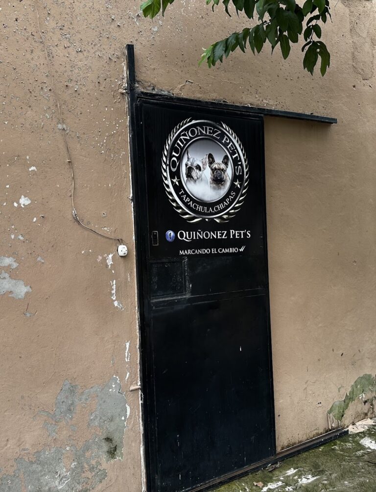 51379 quinonez pets mexico 768x1005