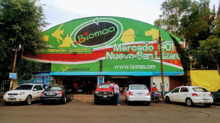 51389 mercado de peces mixhuca 768x432