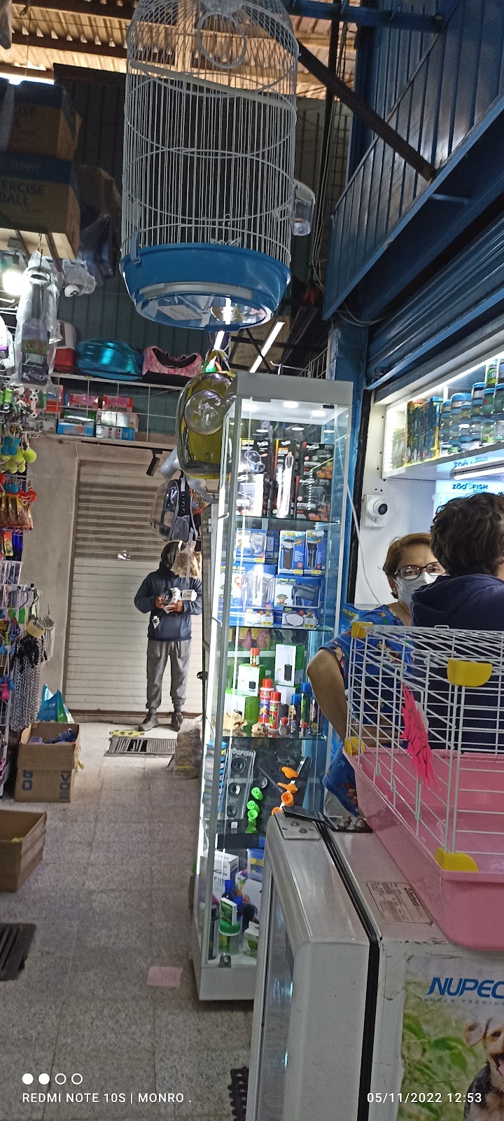 51395 mercado morelos de peces y mascotas