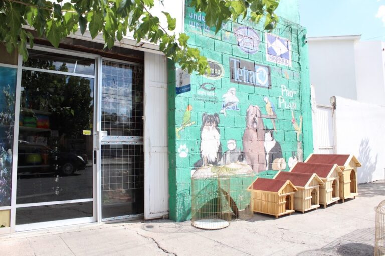 51397 mazcotaz 768x512