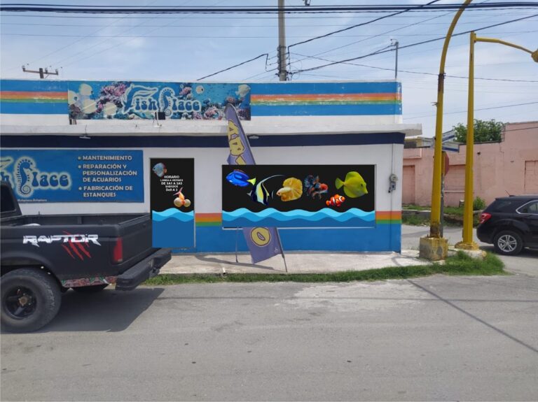 51427 acuario fish place 768x575