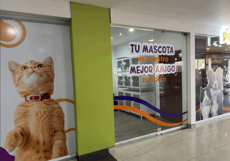 51435 proveco pets 768x539