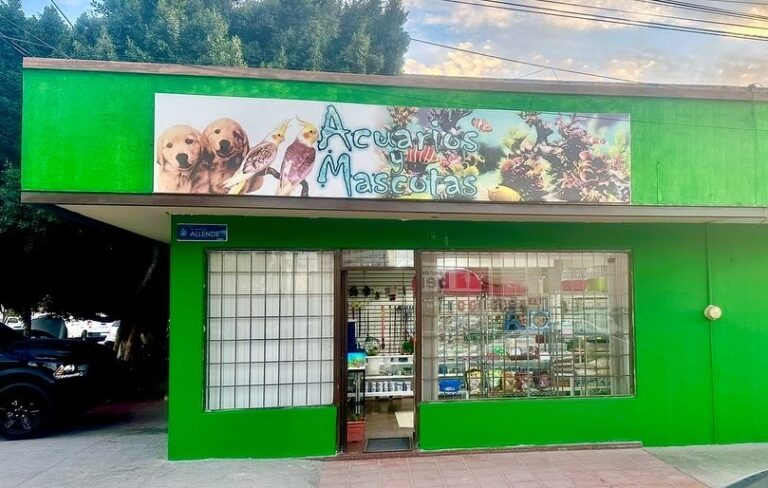 51439 pet it 768x488