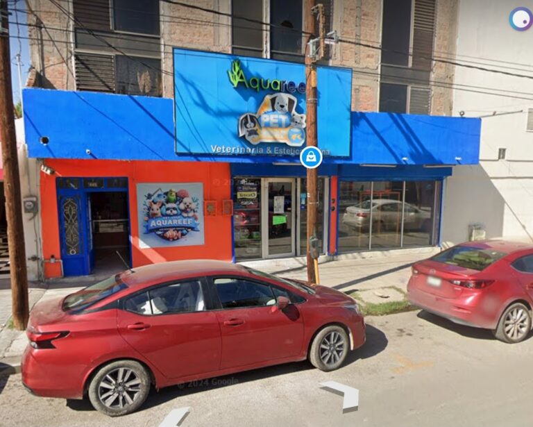 51441 tienda de mascotas y acuario aquareef 768x615