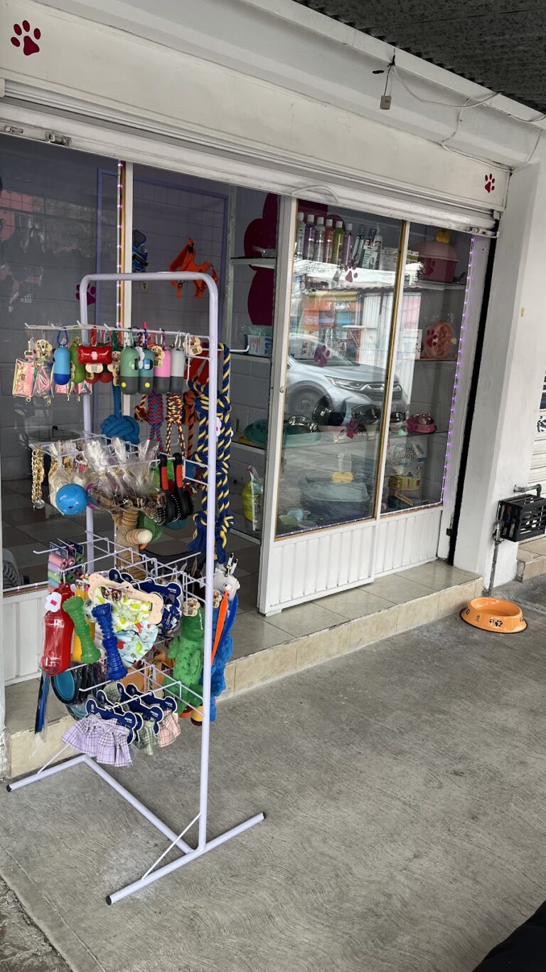 51476 huellitas pet 768x1365