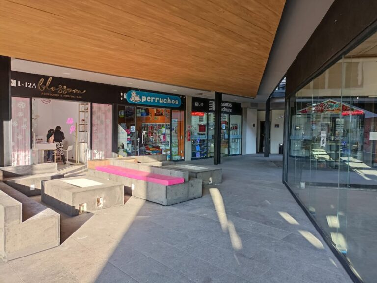 51480 perruchos pachuca 768x577