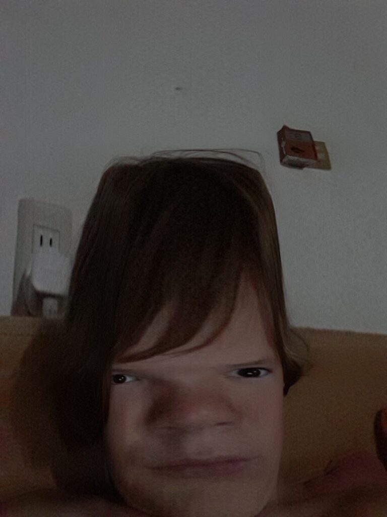 51493 petshop mican 768x1024