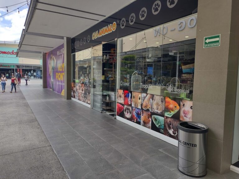 51524 casa animal real center 768x575