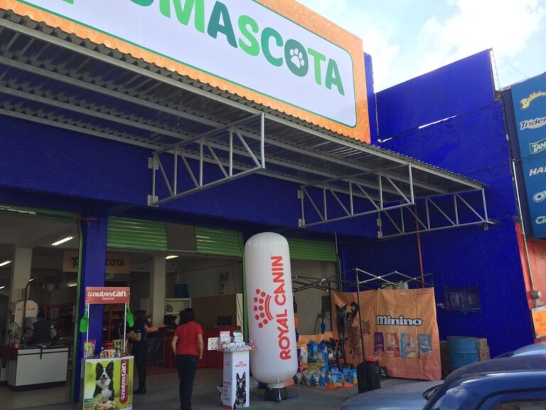 51530 pumascota tlalnepantla 768x576