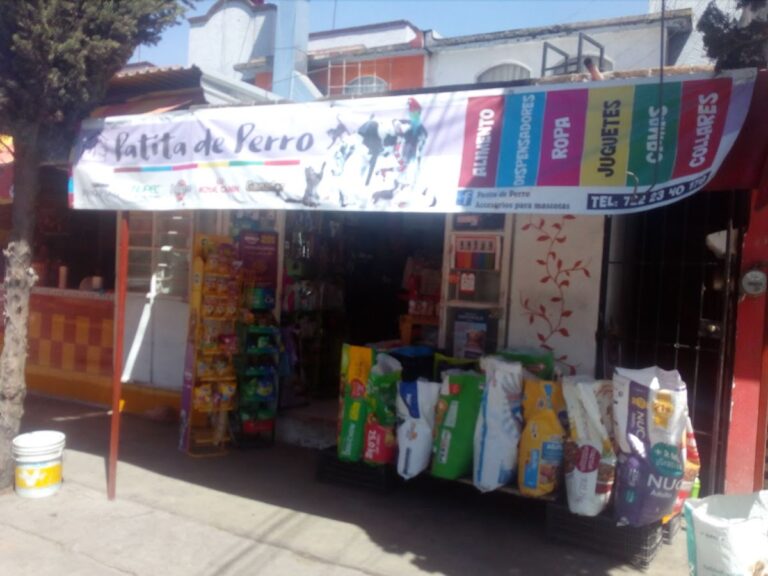 51534 tiendas de accesorios para mascotas la patita de perro 768x576