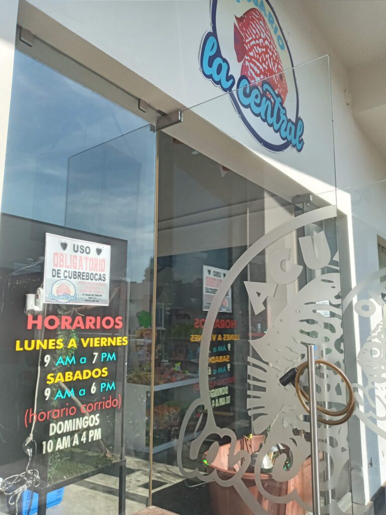 51540 acuario la central 768x1024
