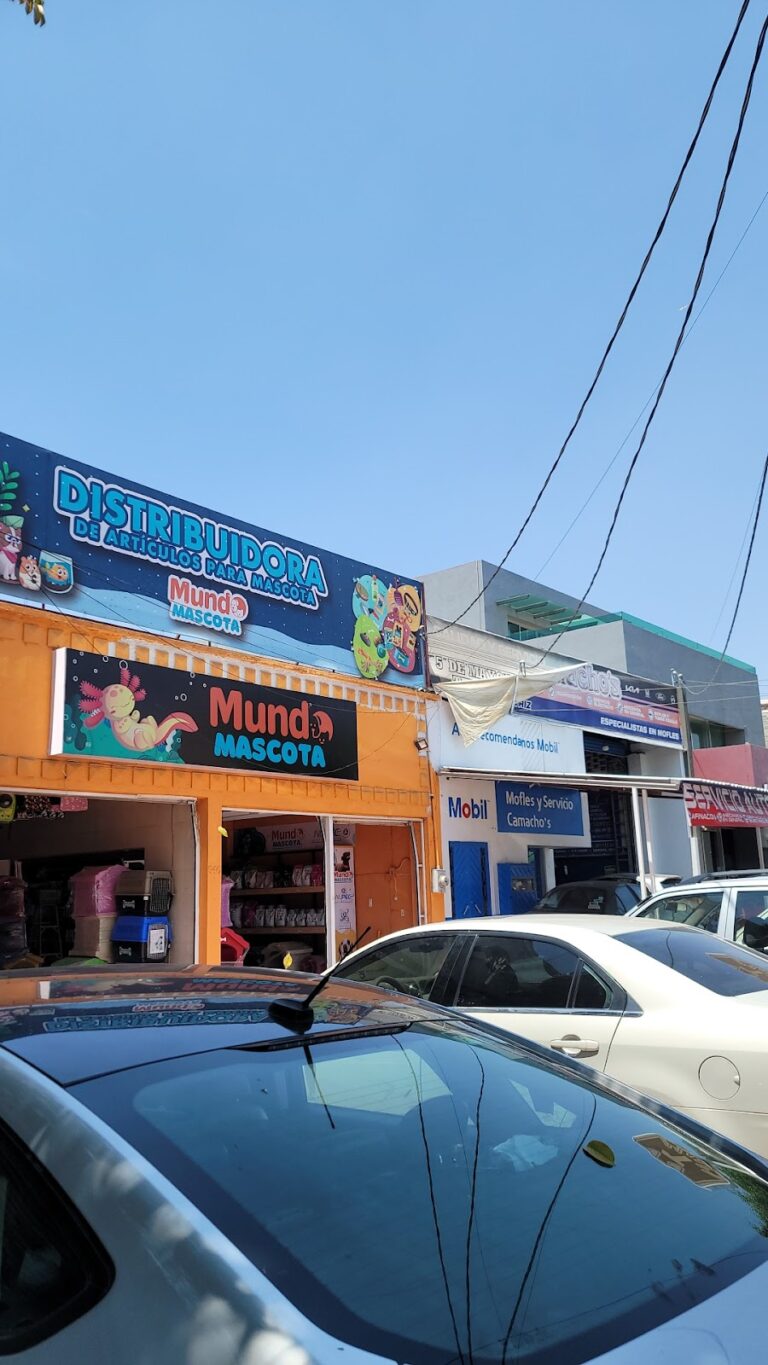 51564 mundo mascota 768x1365