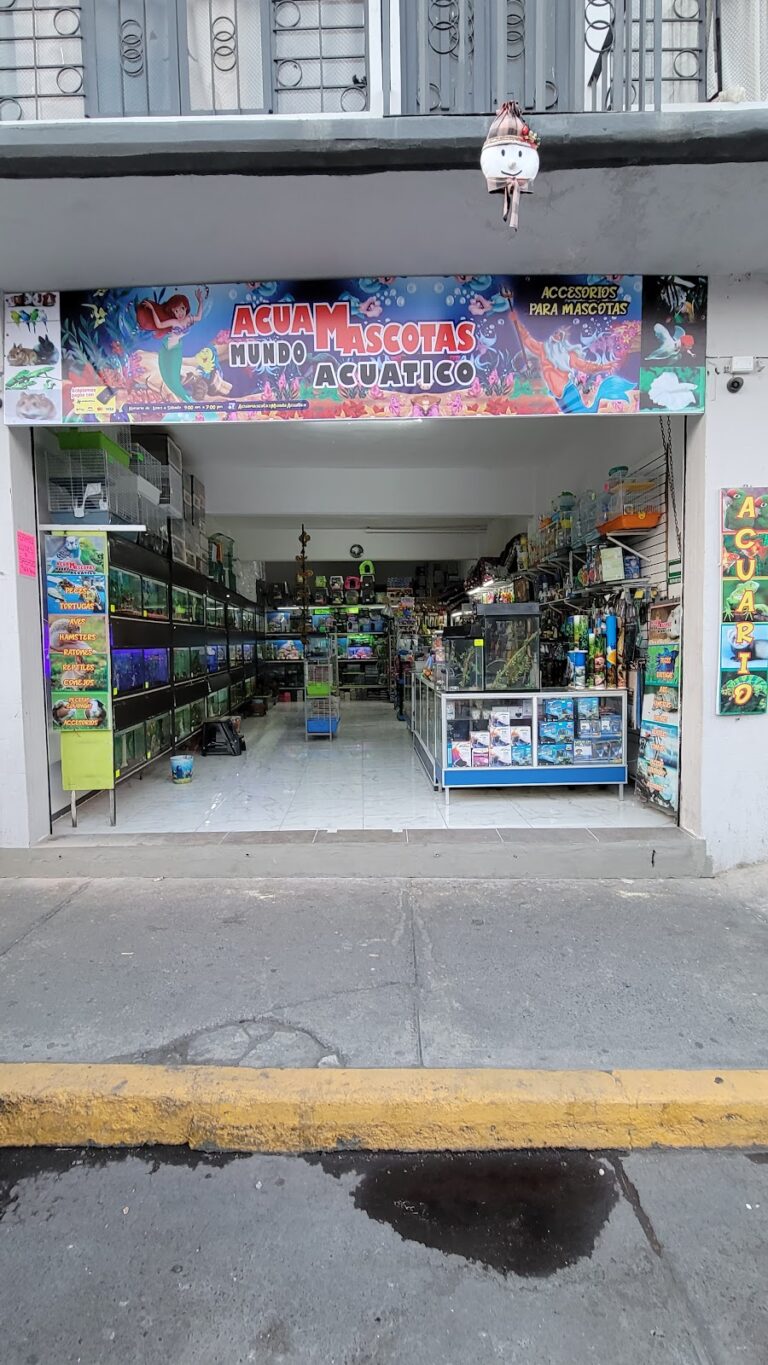 51566 mundo acuatico 768x1365