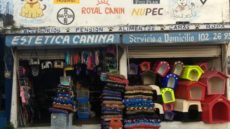 51593 super mascota 768x431