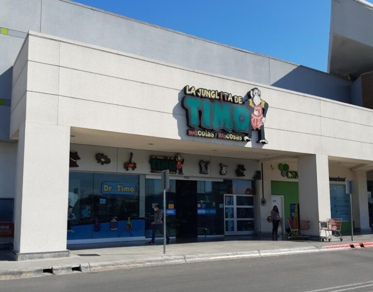 51606 la jungla de timo la fe 768x600