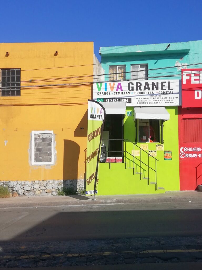 51626 punto mascota 768x1024