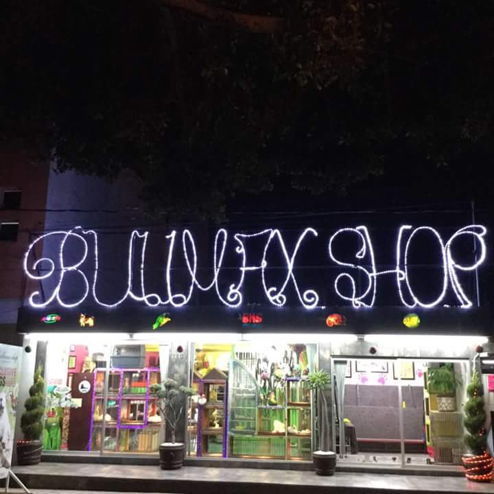 51634 bullmax shop criadero