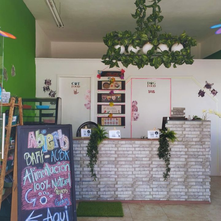 51647 barf acba vallarta