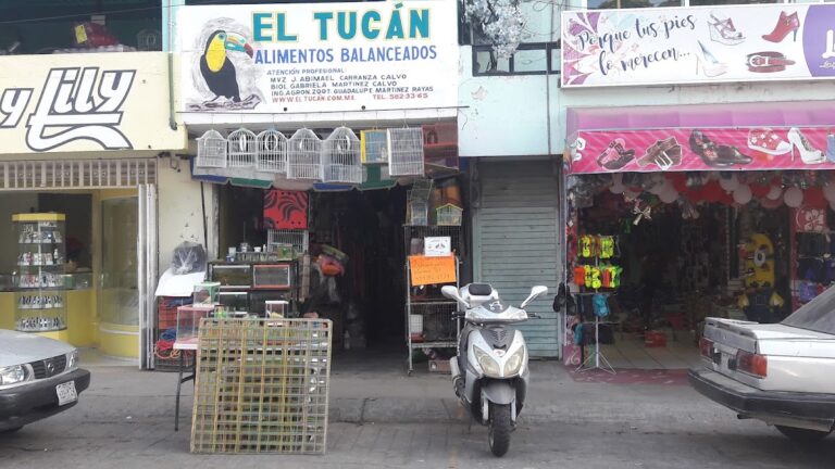 51649 el tucan 768x432