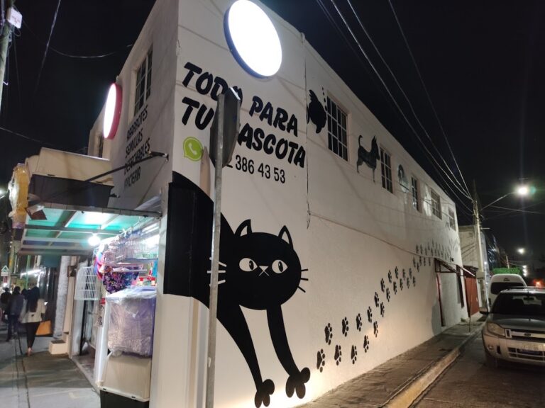 51655 pets land queretaro 768x576