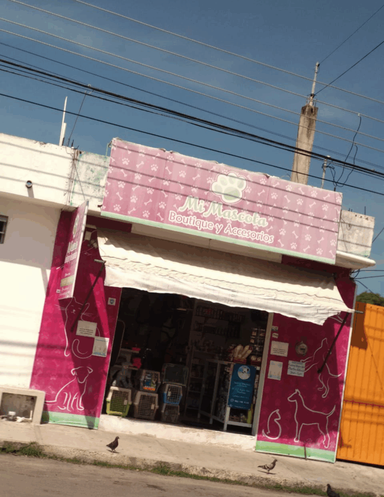 51662 mi mascota chetumal 768x994