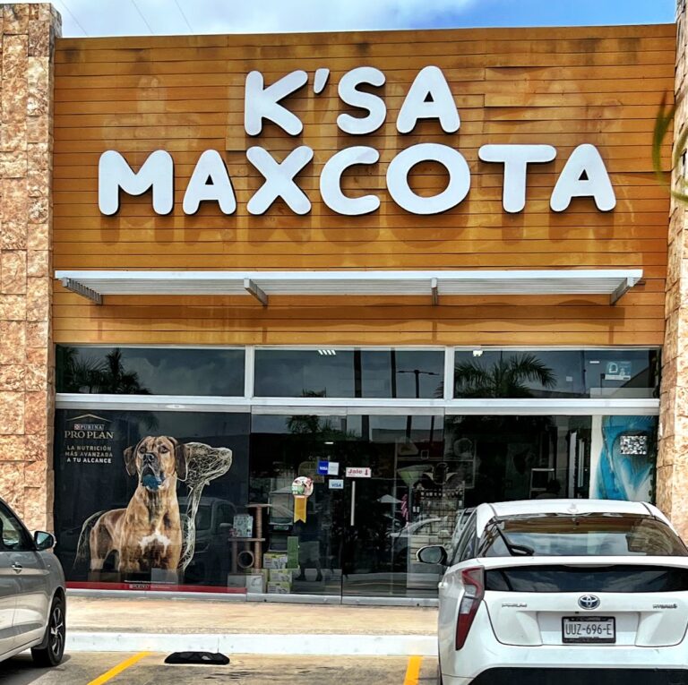 51674 kota food playa del carmen 768x765