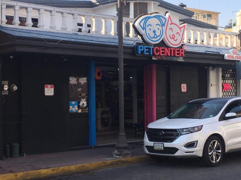 51678 petcenter san andres cholula 768x576