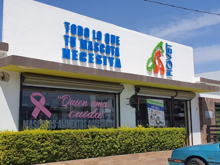 51704 figvet veterinaria 768x576