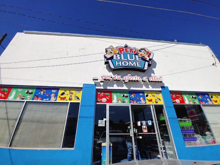 51710 pets blue home 768x576