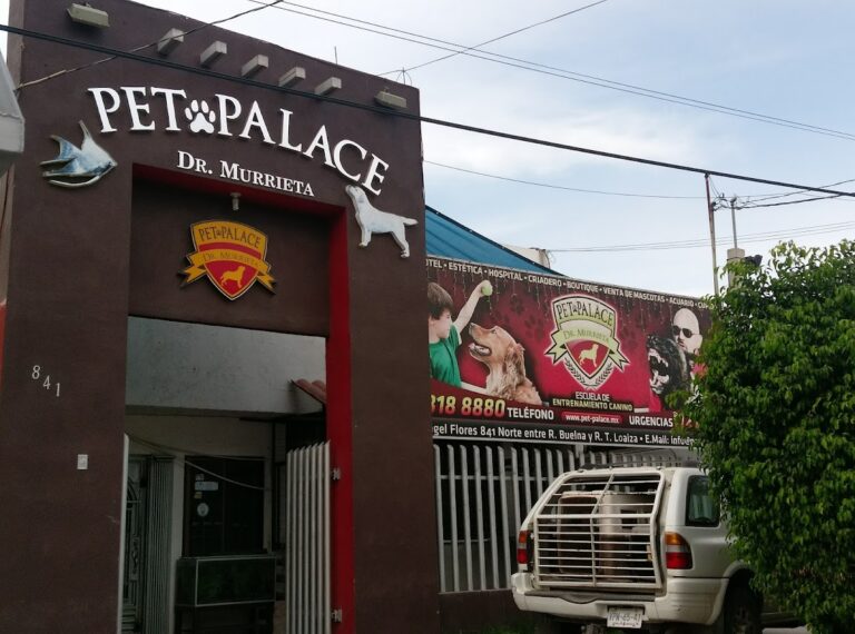 51722 pet palace dr. murrieta 768x570