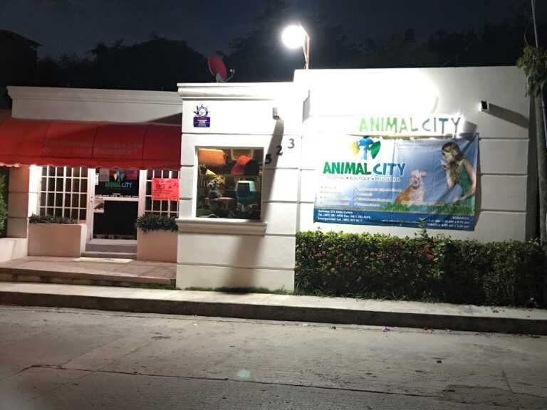 51728 animal city 768x576